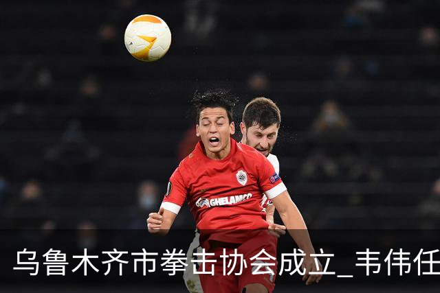 乌鲁木齐市拳击协会成立 韦伟任会长